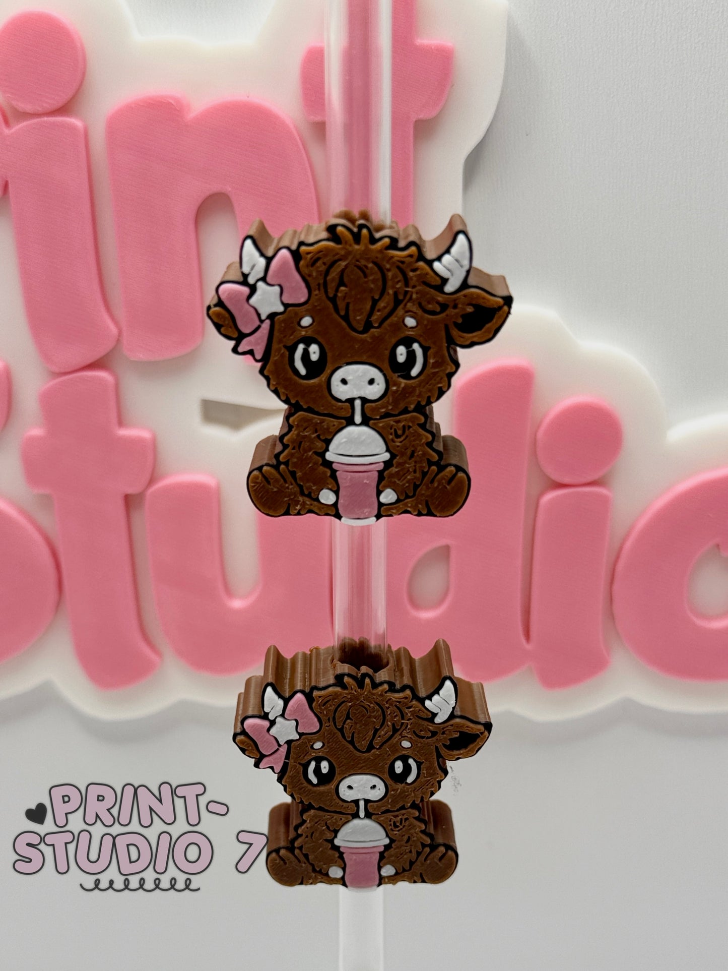 Straw Topper 013025-09
