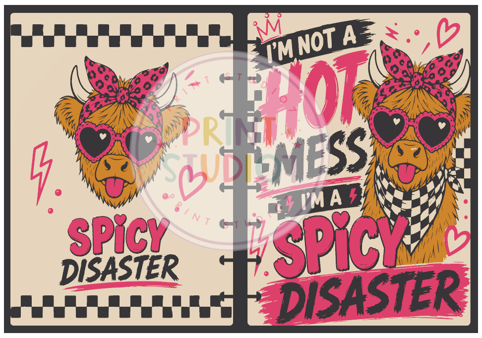 Spicy Disaster Notebook