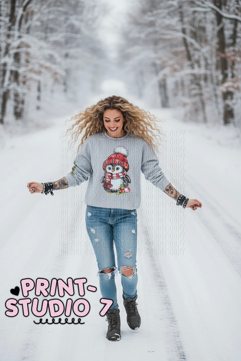 Christmas Penguin w/sleeve