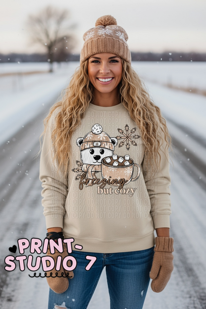 Freezing But Cozy Bear