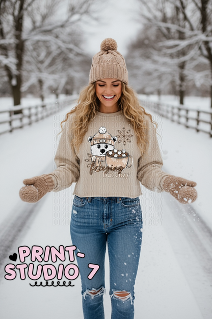 Freezing But Cozy Bear