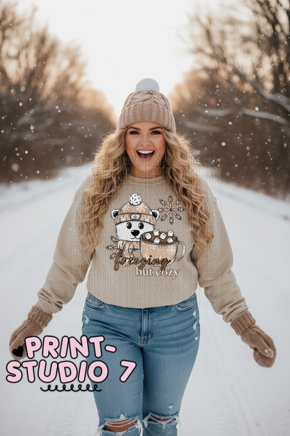 Freezing But Cozy Bear