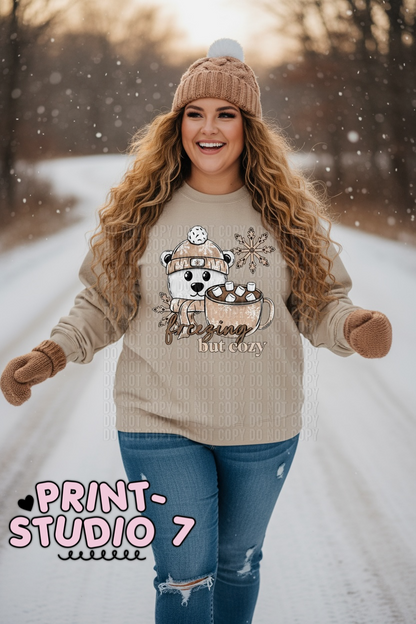 Freezing But Cozy Bear