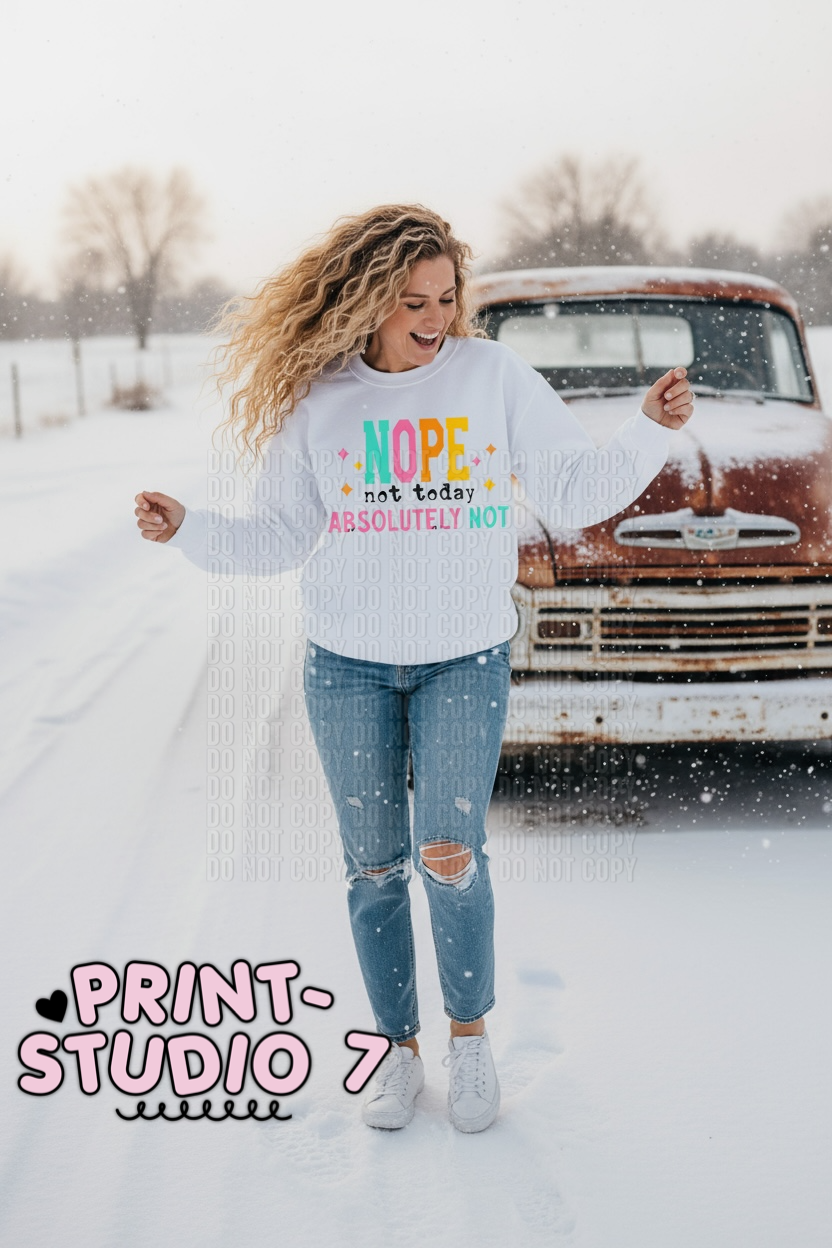 Nope Not Today, Absolutely Not