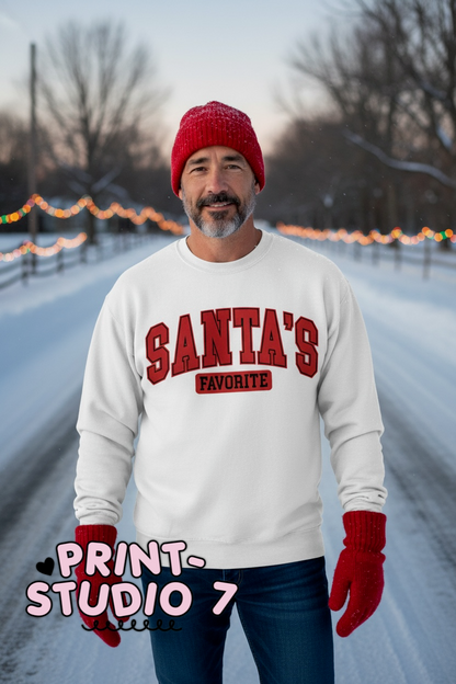 Santa's Favorite