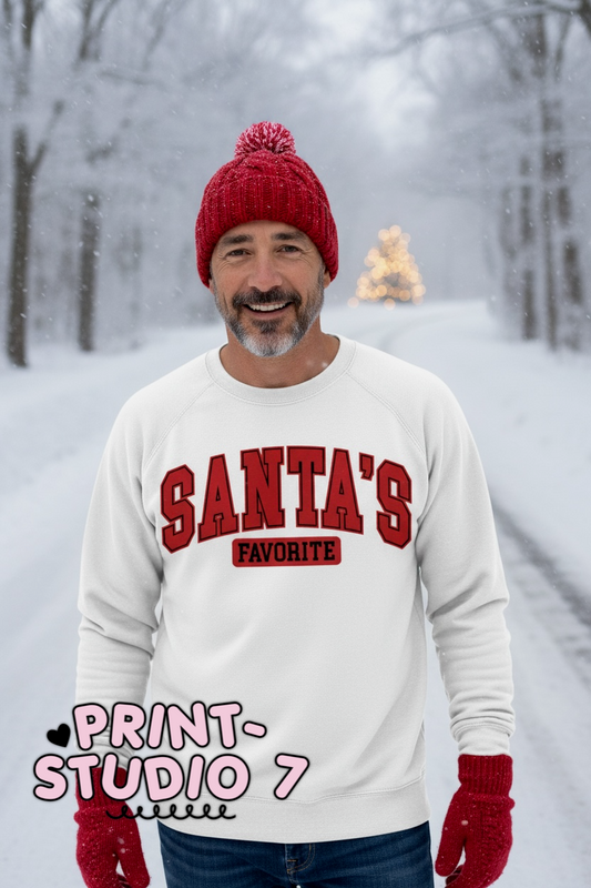 Santa's Favorite