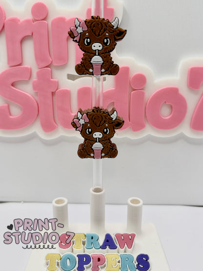 Straw Topper 013025-09