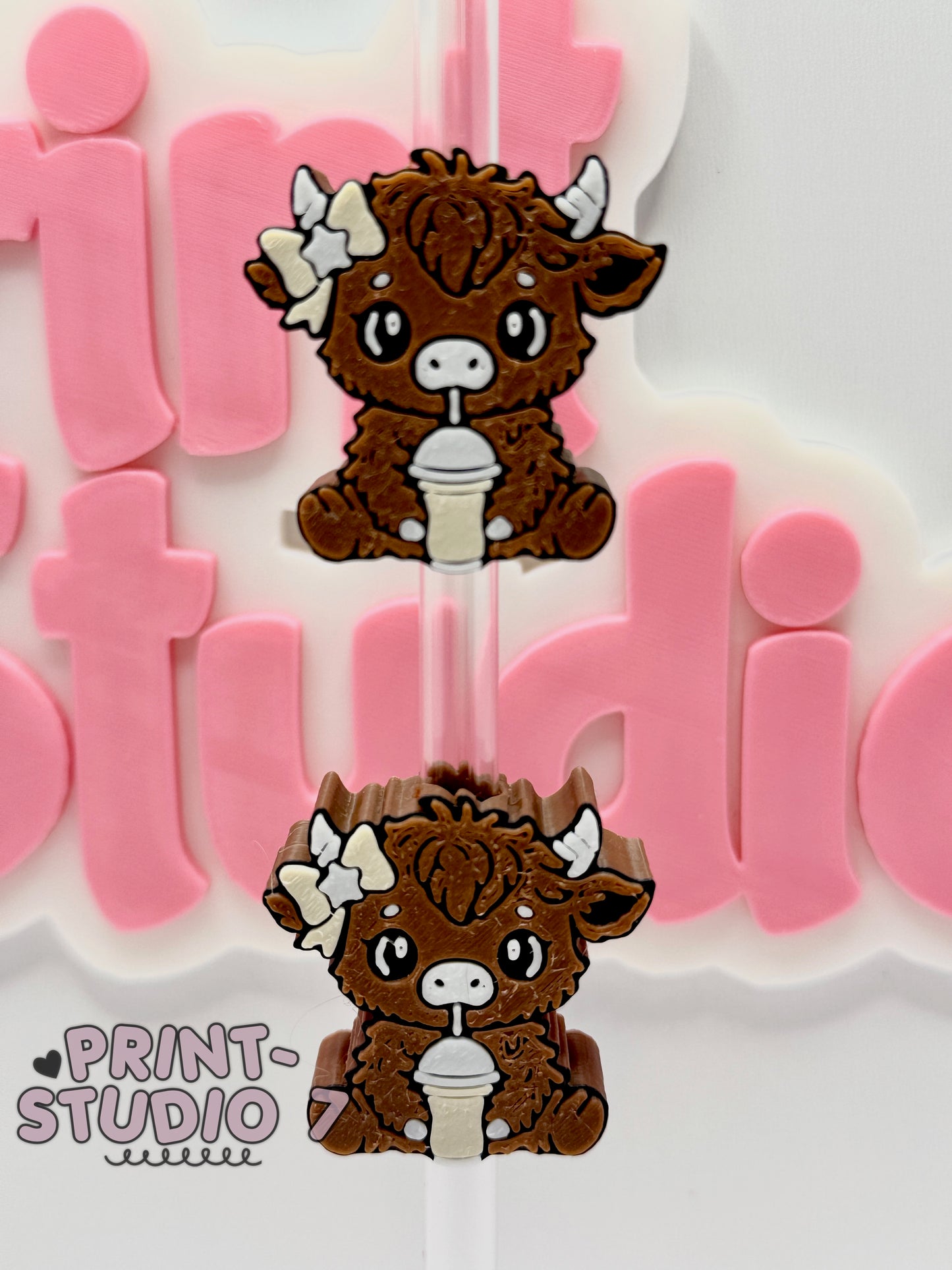 Straw Topper 013025-12