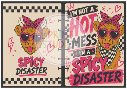 Spicy Disaster Notebook