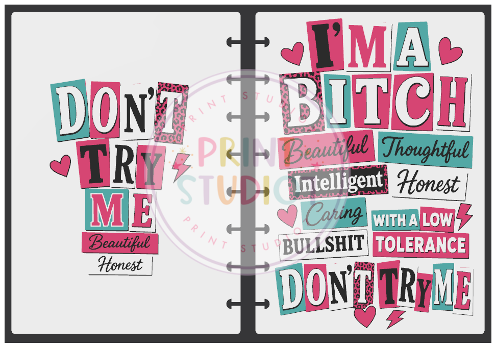 I'm A Bitch Notebook