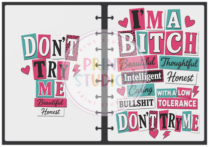 I'm A Bitch Notebook